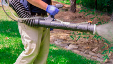 Professional Mosquito Control Services