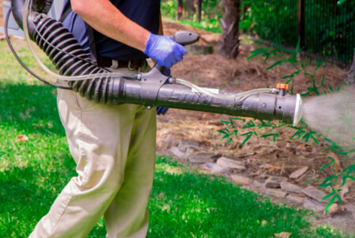 Professional Mosquito Control Services