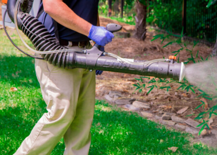Professional Mosquito Control Services