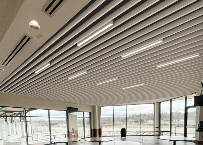 Elevate Your Office Acoustics with Eco-Friendly Acoustic Panels