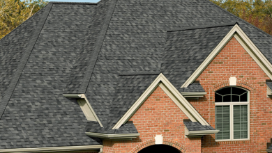 Exploring Different Roofing Options for Seattle Homes