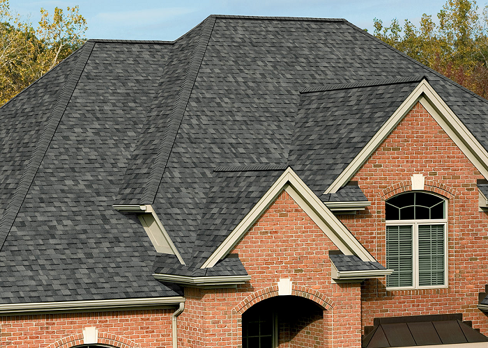 Exploring Different Roofing Options for Seattle Homes