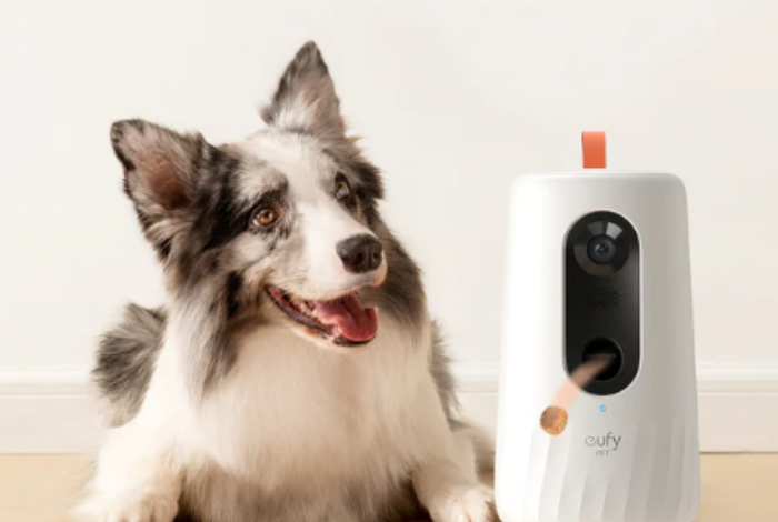 The Best Cameras For Your Pet