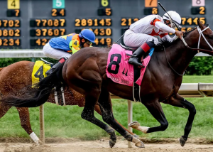 MESSITURF10 Couplé du Jour