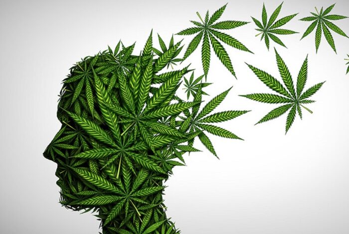 Overcoming Trauma with Cannabis Therapy