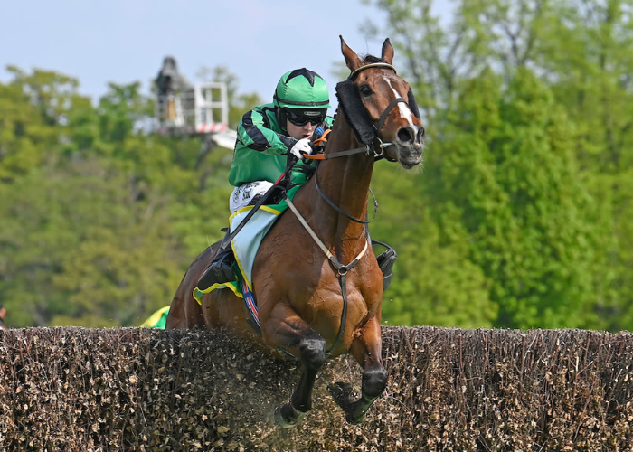 Prono Choc Turf