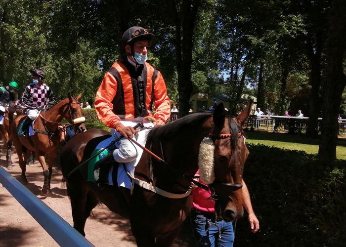Zetop Trio Gagnant