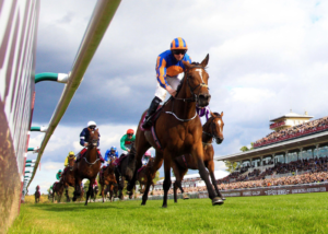 Dernière Minute Pmu