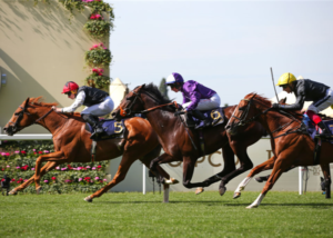 Pronochokant Pmu du Jour