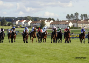 Programme Pmu Demain