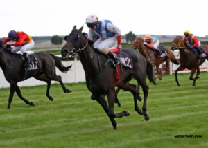 Arrivée du Jour Pmub