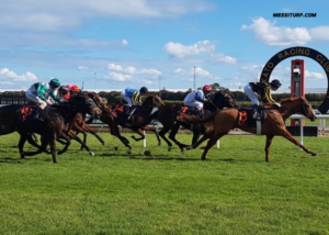 100pour100 Quinteplus