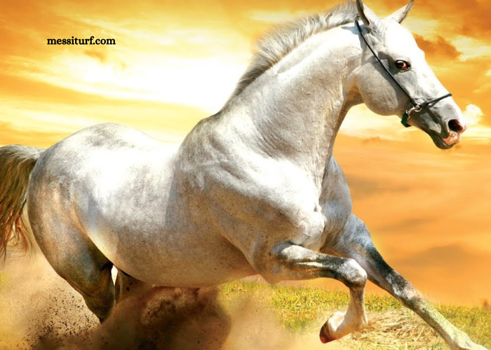 ÉLimination Des Chevaux