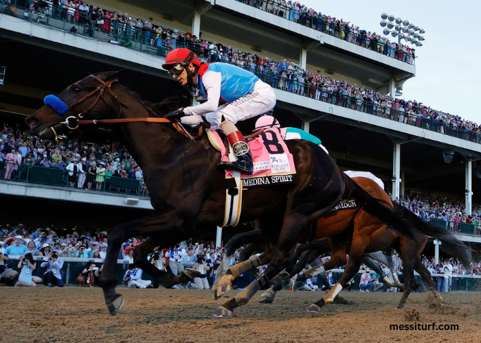 Why a Trusted Bookie Is Essential for Online Horse Wagering