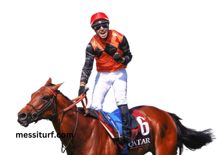 Joli Turf Gagnant