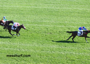 Arrivée Du Jour Pmu