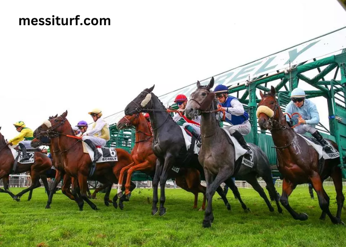 Course en Direct