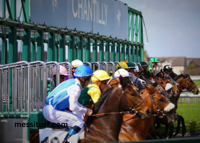 France turf VIP