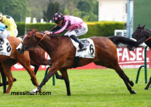 Evolution des cotes pmu