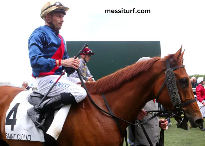 Power Turf Gagnant