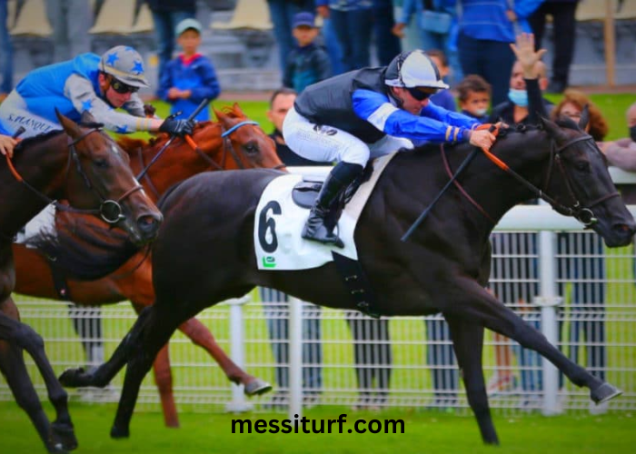 Promo Turf 100 Gratuit