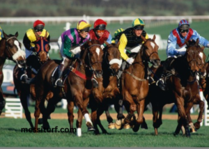 Resultat Des Courses Aujourd’Hui