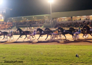 Champion Des Courses