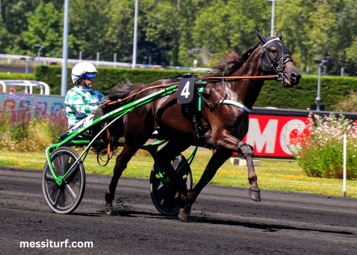 Jolie Turf Gagnant