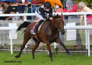 Lavoyeuse Coup SU Du Jr