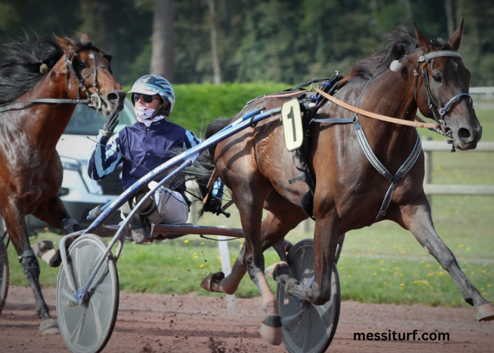 Ordre-Tierce Vip