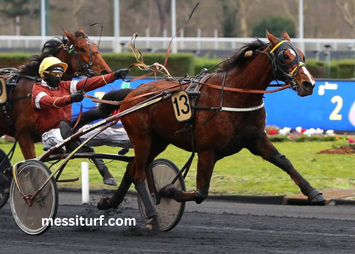 Le Cheval DE Base Incontournable Le Cheval DE Base Incontournable