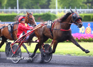 Passage Obligé Minarik