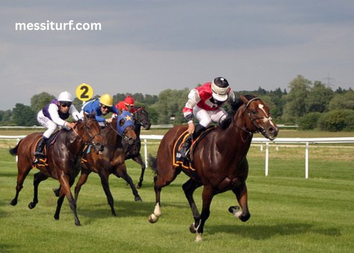 Au Petit Parieur (2)