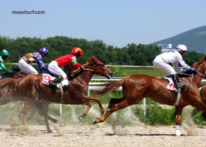 Duo Sur Turf (1)