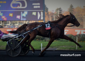 Gagnant Turf Vip (1)