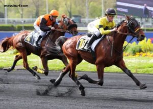 Les Jeux DE Statoprono