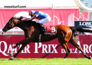 Pronostic Quinté Base (2)