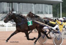 3 Chevaux Gagnant