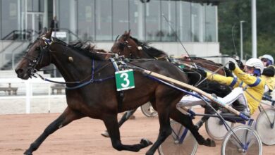 3 Chevaux Gagnant