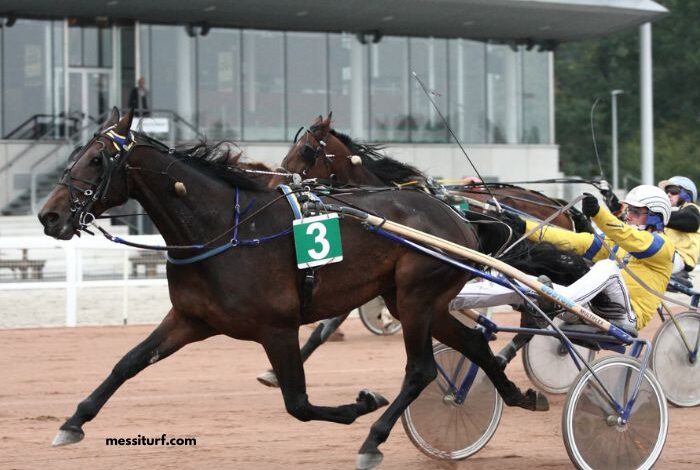 3 Chevaux Gagnant