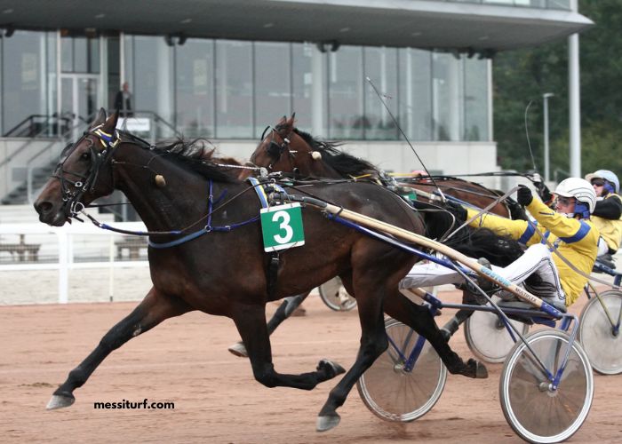 3 Chevaux Gagnant