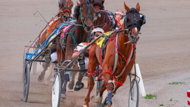 8 Chevaux Turf Magique