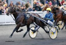 Derniere Minute Turf