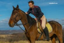 LA Richesse Turf