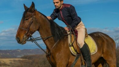 LA Richesse Turf