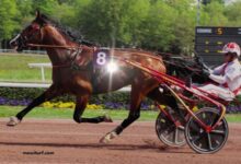 LA Voyeuse Cplemaire