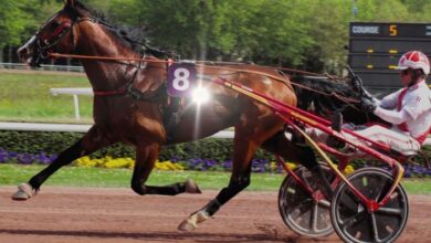 LA Voyeuse Cplemaire