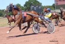 Pronostic Quinté Demain
