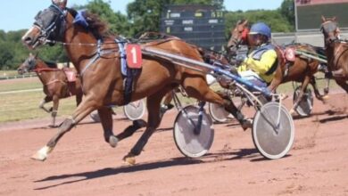 Pronostic Quinté Demain