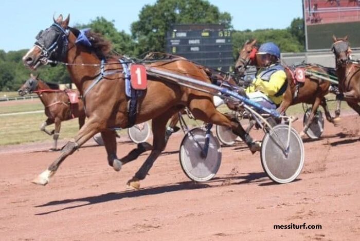 Pronostic Quinté Demain